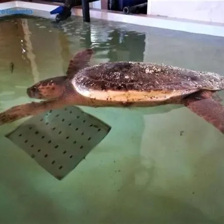 La Dimora Di Netta *